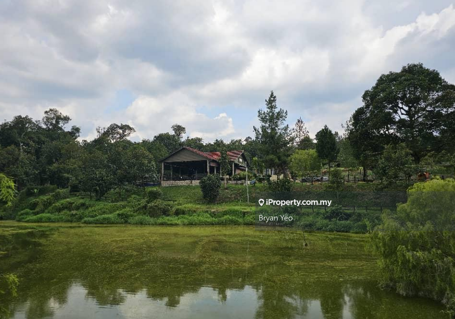 Cheap! Ready Retreat Home Suitable for Leisure or Retirement