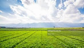 Sepang Dengkil Development Land For Sale
