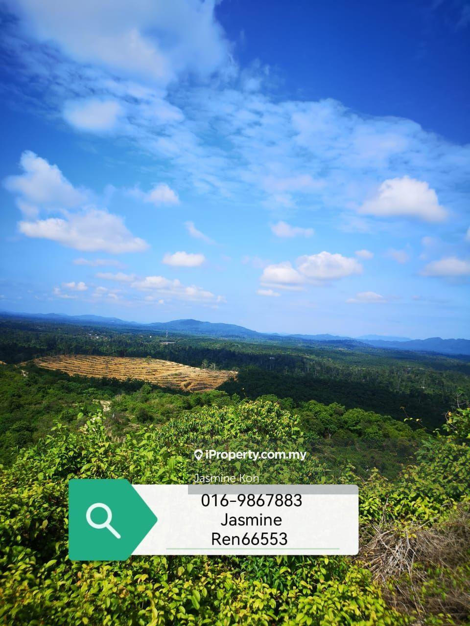 Ulu Neggiri Palm Land