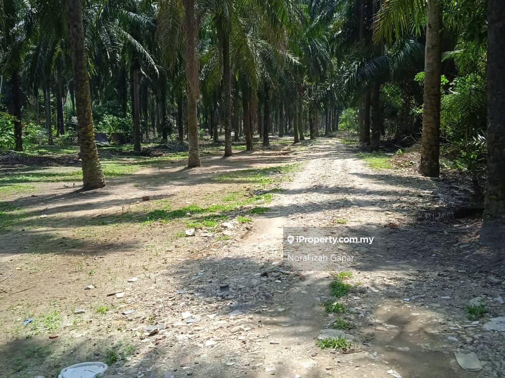 Beside The Highway Empty Land Kampung Sungai Buah Dengkil For Sale