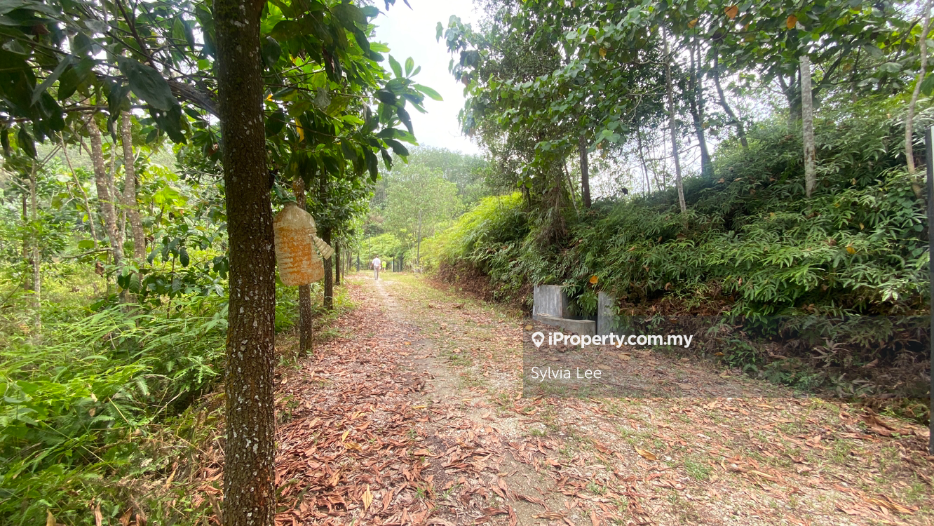 Fully-Operational 6-Acre Durian Farm Near Kl for Sale in Hulu Langat