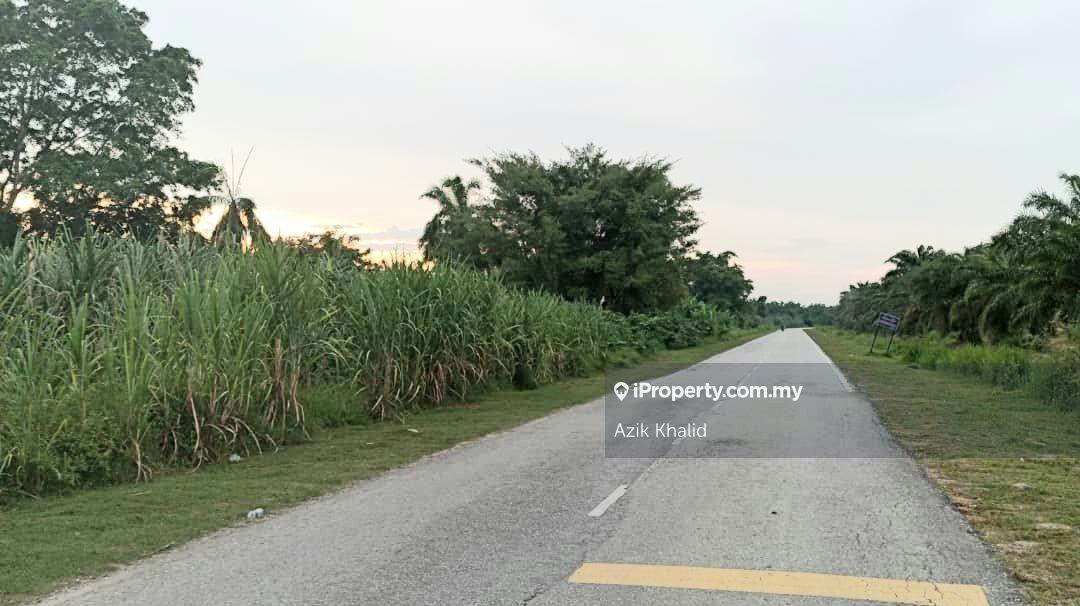 Kuala Selangor agriculture land for sale