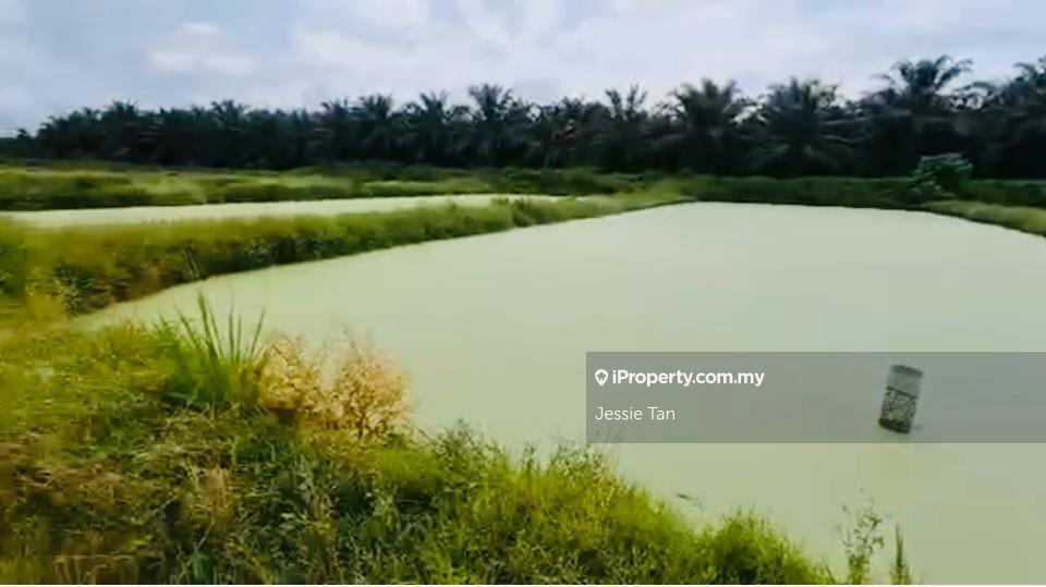 Kota tinggi agrulture land for sale