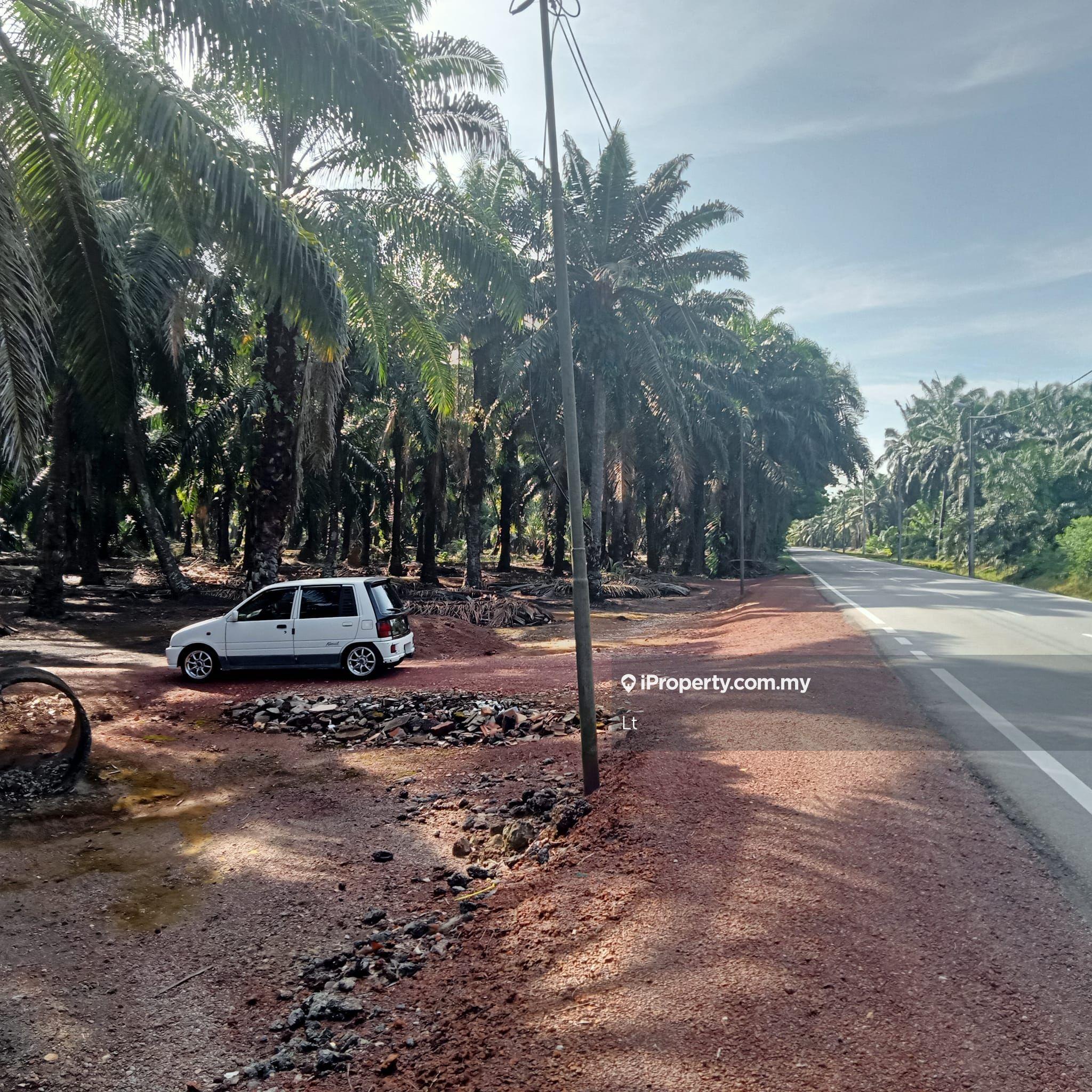 3.03 Acres Commercial Land For Sale
