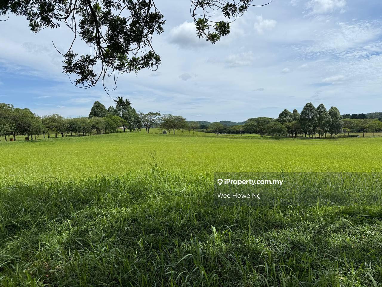 Empty Bungalow Land