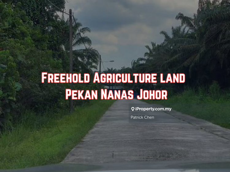 Freehold Agriculture land under industrial zone Pekan Nanas, Pontian