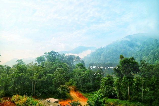 Agricultural Land for Sale in Tanarimba,Janda Baik,Bentong, Bentong by Eugene Yap - iProperty.com.my