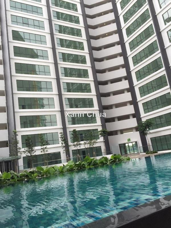 For Sale - Zeva @ Equine South