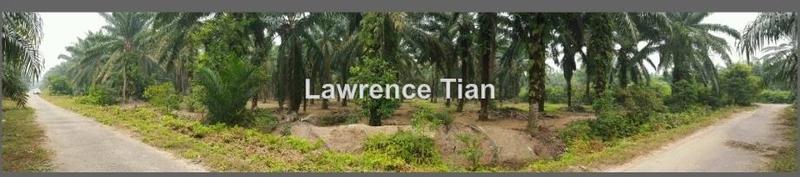 For Sale - Sungai Pelek land