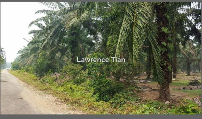 For Sale - Sungai Pelek land