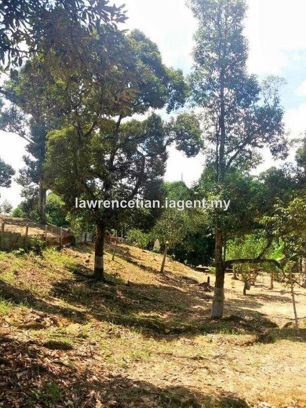 Tanah Pertanian untuk Dijual di Pekan Mantin, Mantin oleh Lawrence Tian - iProperty.com.my