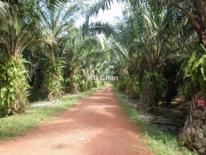 For Sale - Sungai Petani Near Butterworth Penang