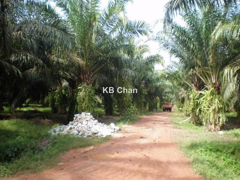 For Sale - Sungai Petani Near Butterworth Penang