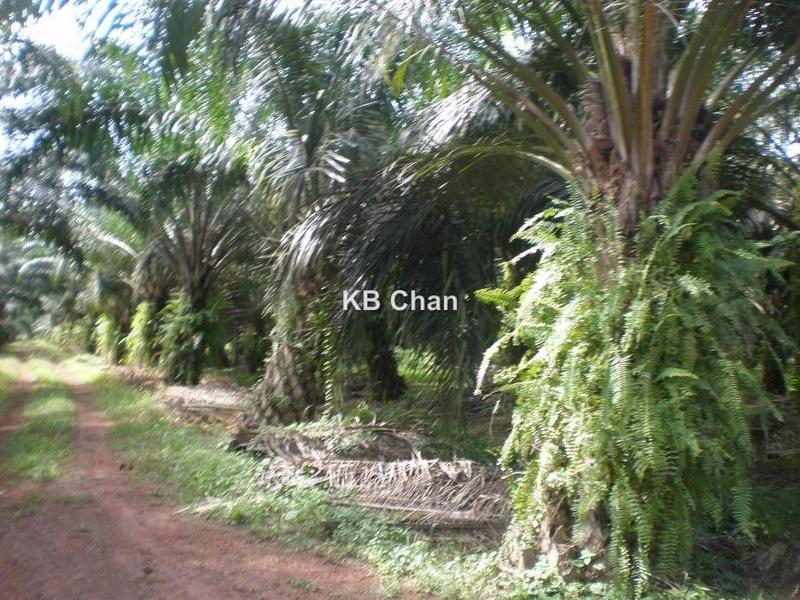 For Sale - Sungai Petani Near Butterworth Penang