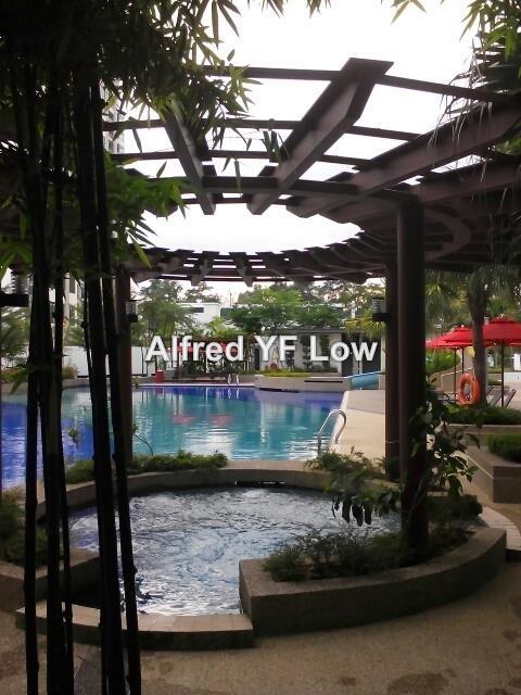 For Sale - Molek Pine 3