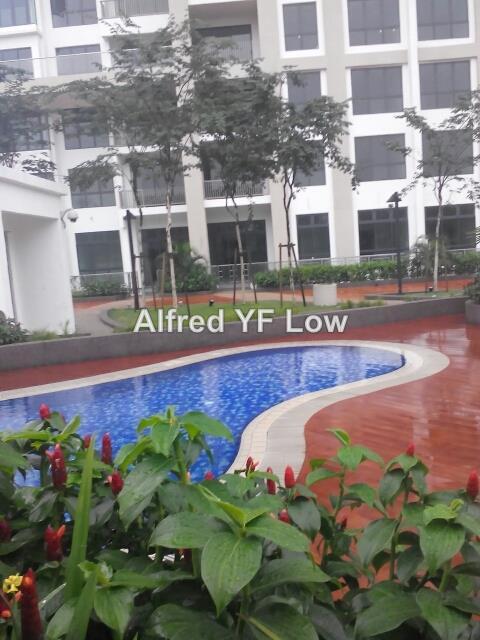 Pangsapuri untuk Disewa di Molek Pine 4 oleh Alfred Yf Low - iProperty.com.my