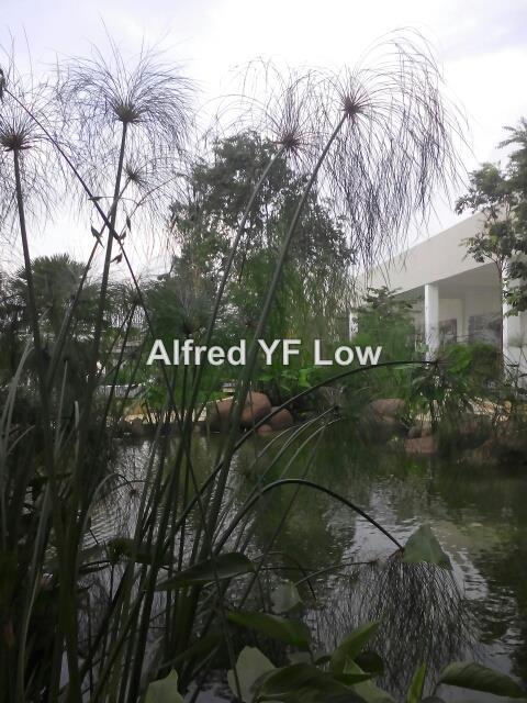 Pangsapuri untuk Disewa di Molek Pine 4 oleh Alfred Yf Low - iProperty.com.my