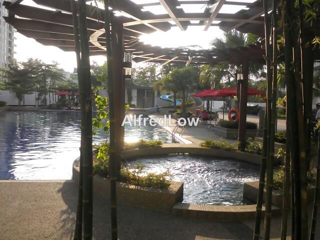 For Sale - Molek Pine 3