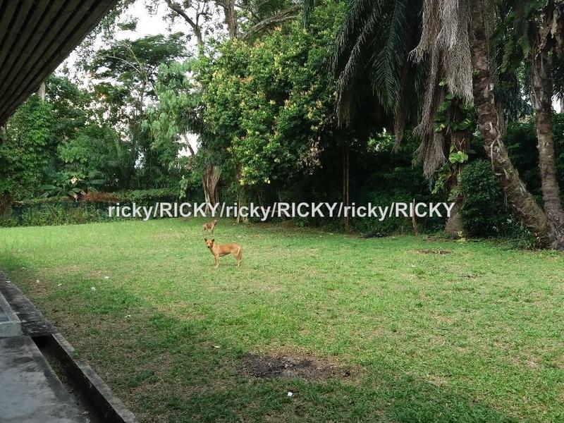 Banglo untuk Dijual di Taman U-Thant, Kuala Lumpur oleh Ricky Poon - iProperty.com.my