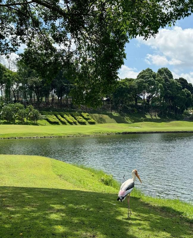 2-storey Terraced House for Sale in 「SEREMBAN」2-Storey 26x80 400k！Project in 2027！, Bandar Sri Sendayan by Osmond Ling - iProperty.com.my