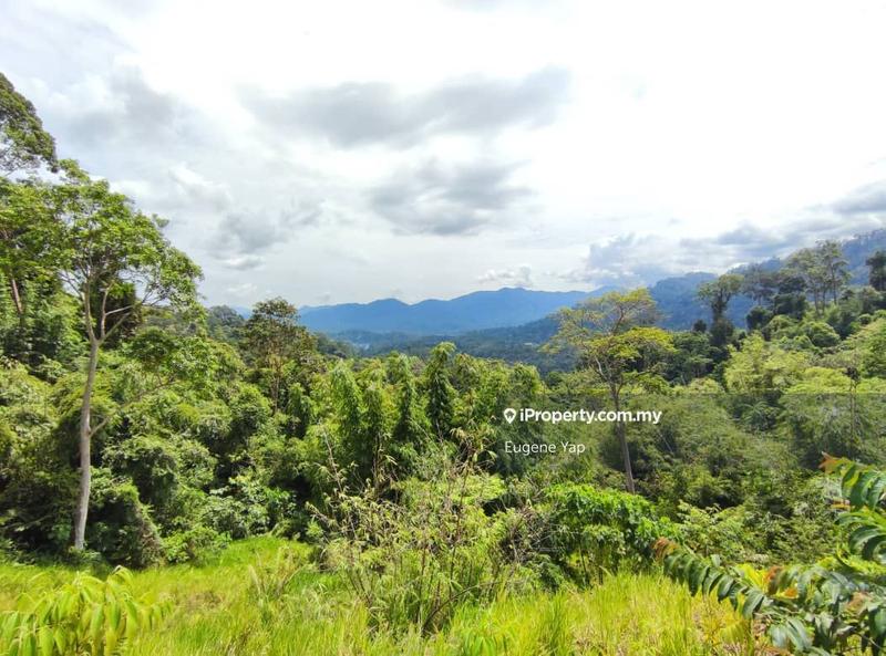 Agricultural Land for Sale in Tanarimba,Janda Baik,Bentong, Bentong by Eugene Yap - iProperty.com.my