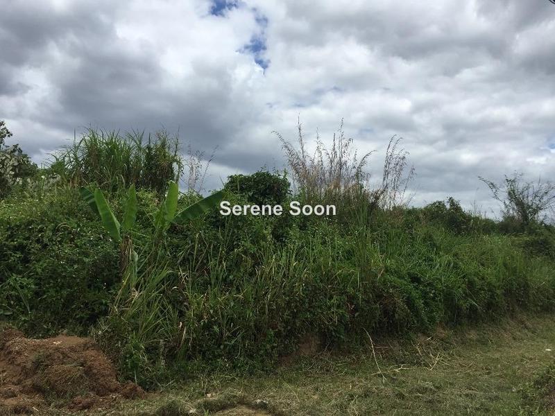 Tanah Pertanian untuk Dijual di Semenyih, Selangor oleh Serene Soon - iProperty.com.my