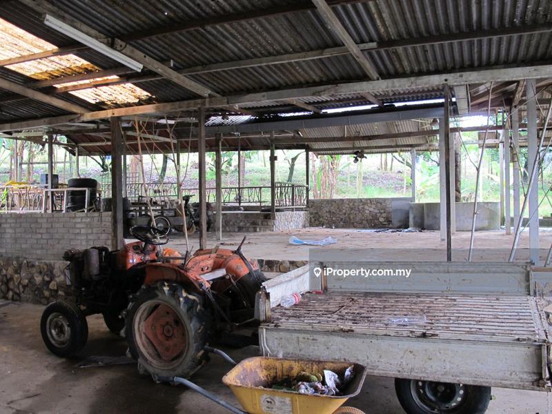Tanah Pertanian untuk Dijual di Batu Arang, Selangor oleh Peter Chong - iProperty.com.my
