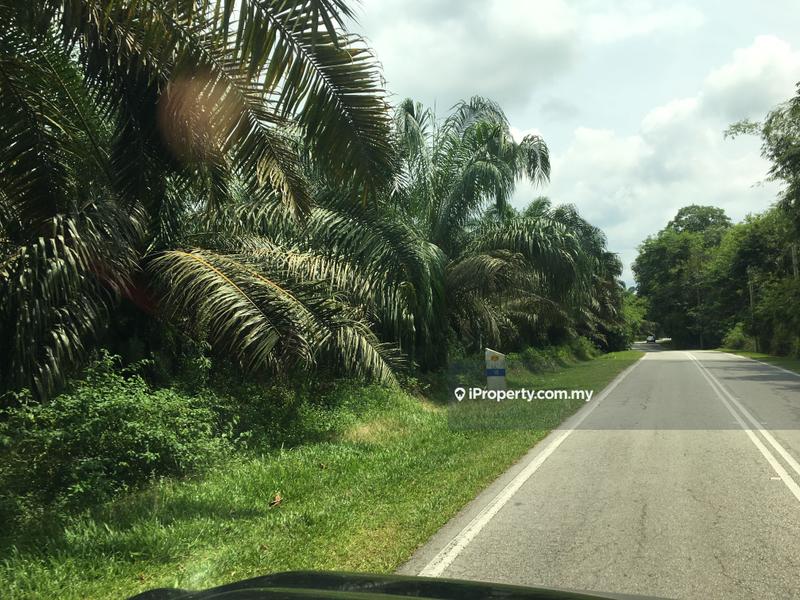 Tanah Pertanian untuk Dijual di Telemong, Karak oleh Damon Wong - iProperty.com.my