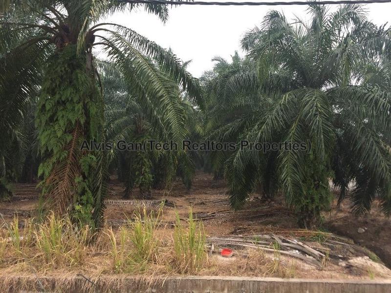 Tanah Pertanian untuk Dijual di Ijok, Selangor oleh Alvis Gan - iProperty.com.my