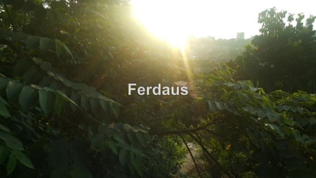 Bungalow Land for Sale in Jalan Cahaya, Taman Tun Dr Ismail by Ferdaus - iProperty.com.my