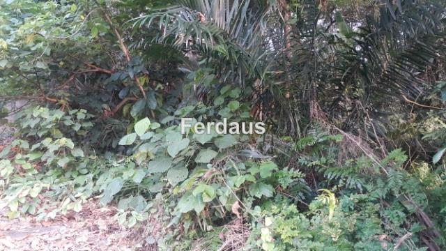 Bungalow Land for Sale in Jalan Cahaya, Taman Tun Dr Ismail by Ferdaus - iProperty.com.my