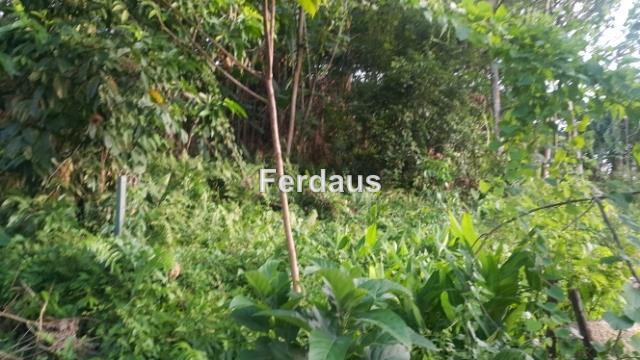 Bungalow Land for Sale in Jalan Cahaya, Taman Tun Dr Ismail by Ferdaus - iProperty.com.my