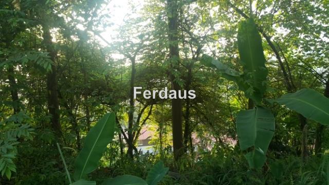 Bungalow Land for Sale in Jalan Cahaya, Taman Tun Dr Ismail by Ferdaus - iProperty.com.my