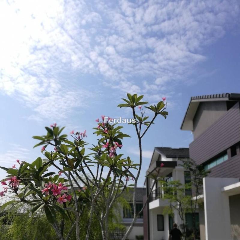Rumah Berangkai 2 Tingkat untuk Dijual di ec964, Shah Alam oleh Ferdaus - iProperty.com.my