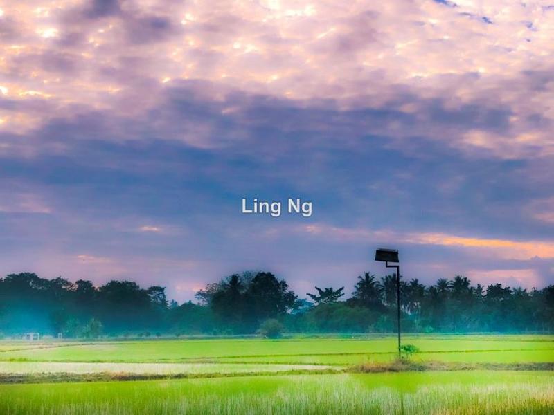 Residential Land for Sale in Sungai Dua Mixed Development Land, Butterworth by Ling Ng - iProperty.com.my