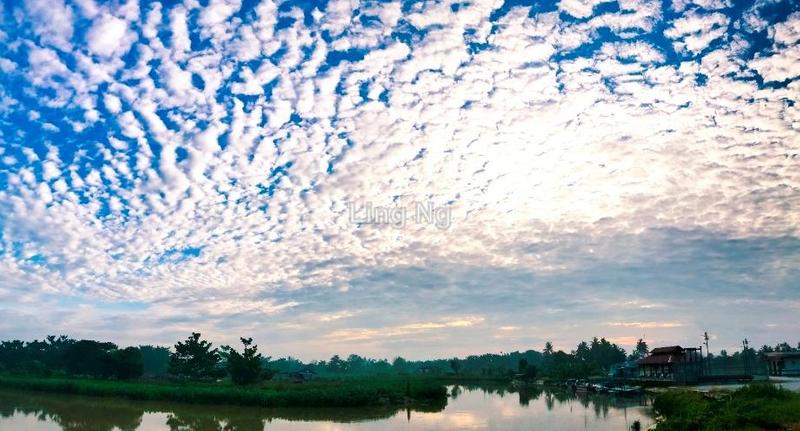 Residential Land for Sale in Sungai Dua Mixed Development Land, Butterworth by Ling Ng - iProperty.com.my