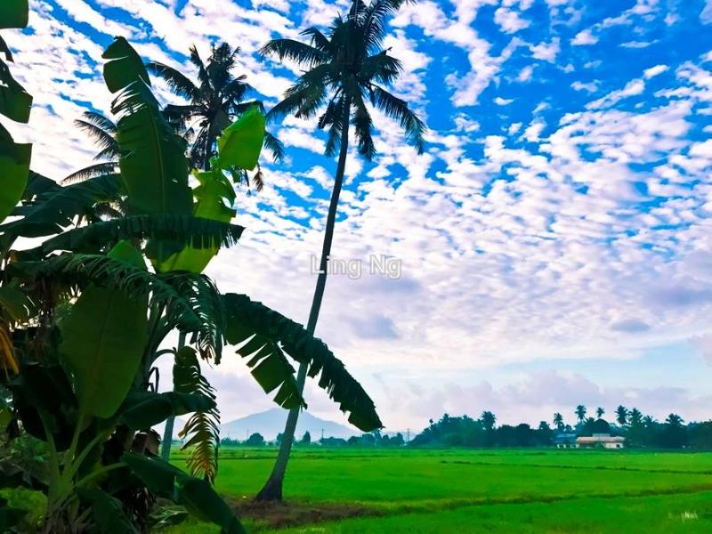 Residential Land for Sale in Sungai Dua Mixed Development Land, Butterworth by Ling Ng - iProperty.com.my