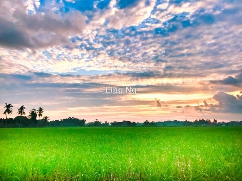Residential Land for Sale in Sungai Dua Mixed Development Land, Butterworth by Ling Ng - iProperty.com.my