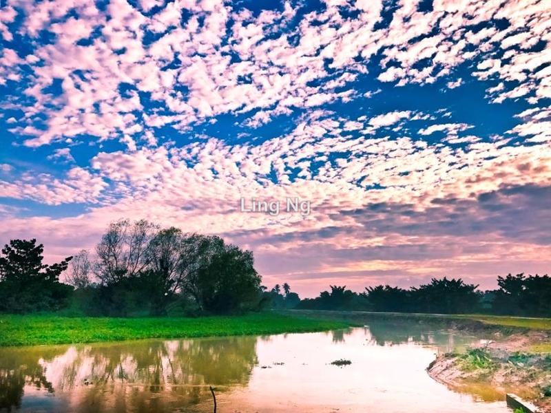 Residential Land for Sale in Sungai Dua Mixed Development Land, Butterworth by Ling Ng - iProperty.com.my