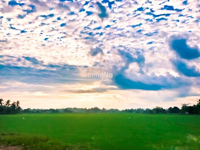Residential Land for Sale in Sungai Dua Mixed Development Land, Butterworth by Ling Ng - iProperty.com.my