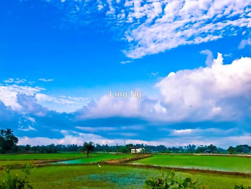 Residential Land for Sale in Sungai Dua Mixed Development Land, Butterworth by Ling Ng - iProperty.com.my