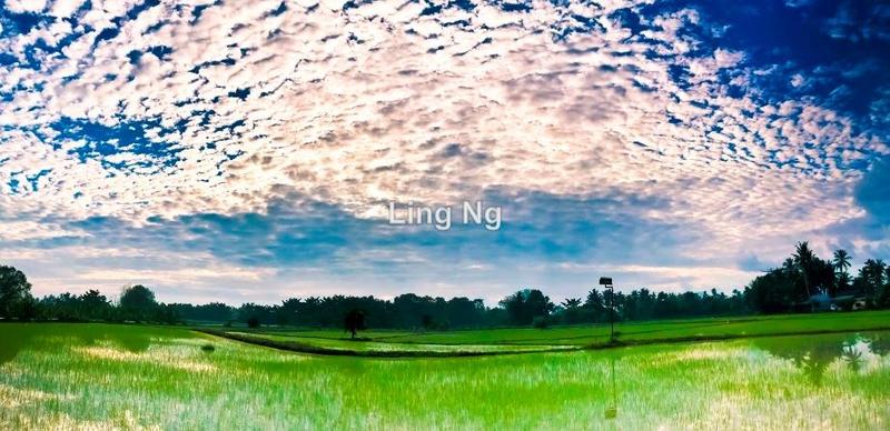 Residential Land for Sale in Sungai Dua Mixed Development Land, Butterworth by Ling Ng - iProperty.com.my