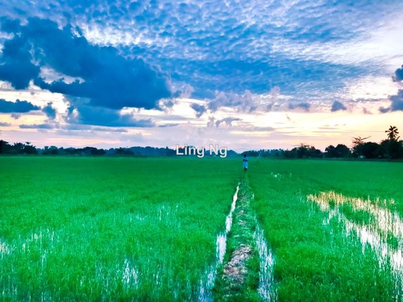 Residential Land for Sale in Sungai Dua Mixed Development Land, Butterworth by Ling Ng - iProperty.com.my