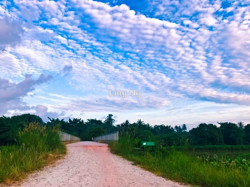 Residential Land for Sale in Sungai Dua Mixed Development Land, Butterworth by Ling Ng - iProperty.com.my