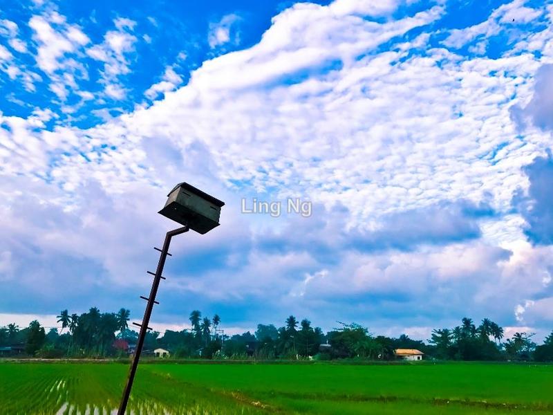 Residential Land for Sale in Sungai Dua Mixed Development Land, Butterworth by Ling Ng - iProperty.com.my