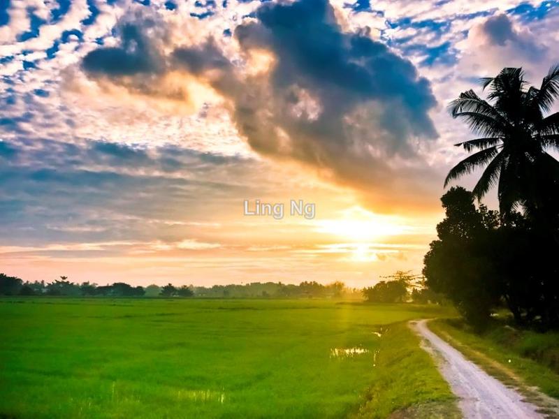 Residential Land for Sale in Sungai Dua Mixed Development Land, Butterworth by Ling Ng - iProperty.com.my