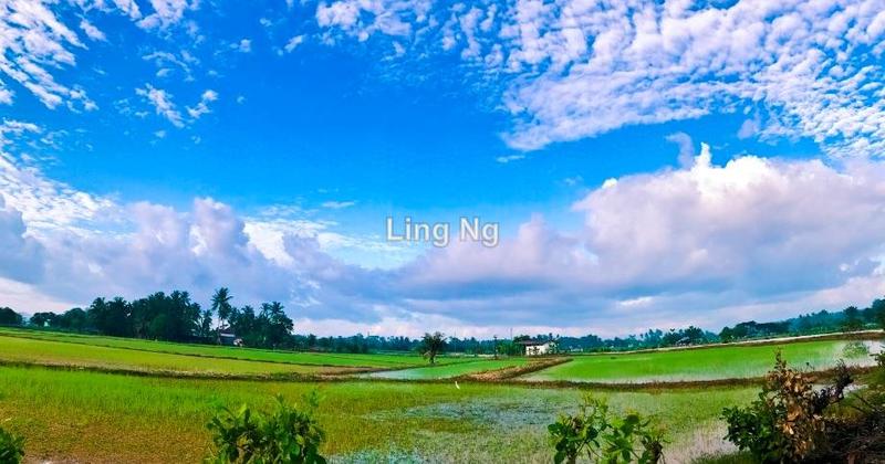 Residential Land for Sale in Sungai Dua Mixed Development Land, Butterworth by Ling Ng - iProperty.com.my
