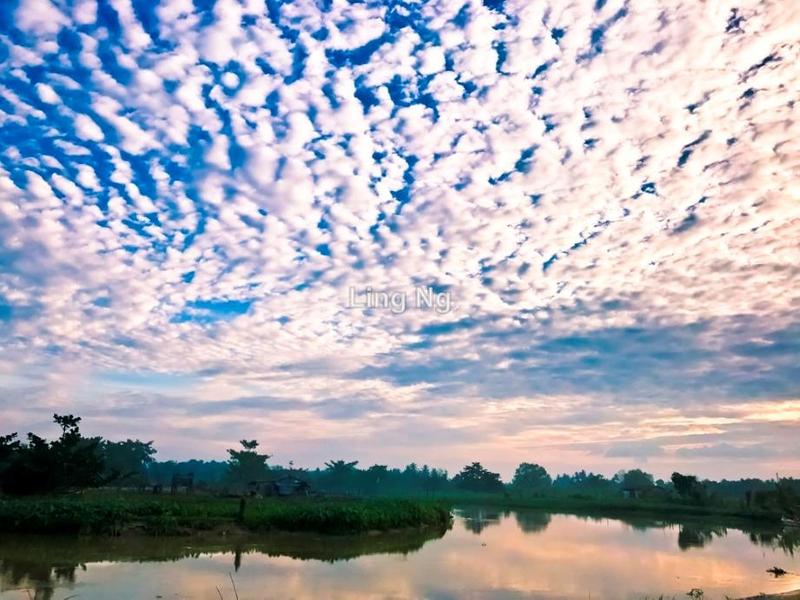 Residential Land for Sale in Sungai Dua Mixed Development Land, Butterworth by Ling Ng - iProperty.com.my