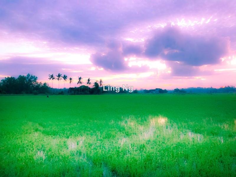 Residential Land for Sale in Sungai Dua Mixed Development Land, Butterworth by Ling Ng - iProperty.com.my