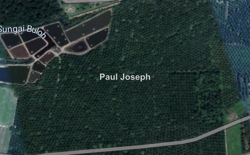 For Sale - Lumut Agriculture Land